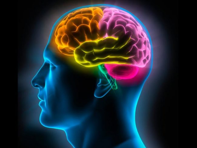 cerebro-memoria_0